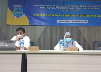 Pemkot Tangerang Selatan Analisa Data Gender