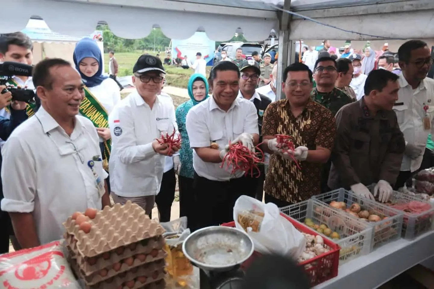 Badan Pangan Nasional dan Pemprov Banten, panen cabai merah, Kamis (10/11/2022). (ISTIMEWA)