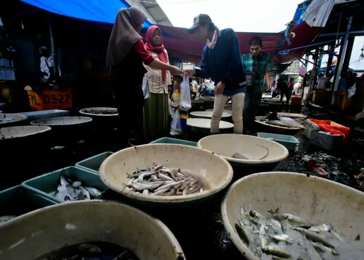 Foto Akibat Cuaca Ekstrim, Harga Ikan di TPI Cituis Tangerang Naik