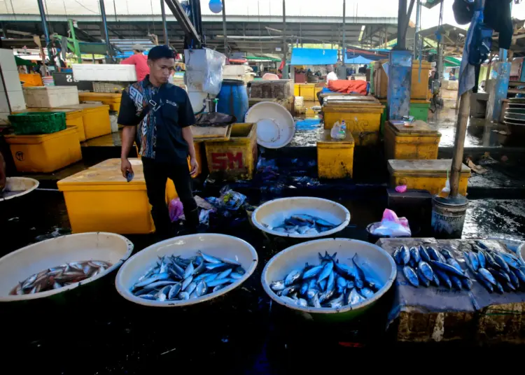 Foto Akibat Cuaca Ekstrim, Harga Ikan di TPI Cituis Tangerang Naik