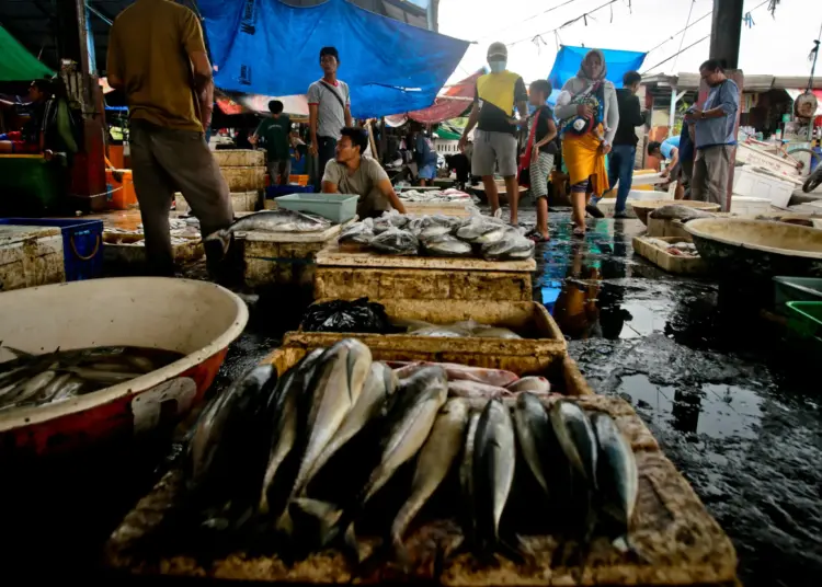 Foto Akibat Cuaca Ekstrim, Harga Ikan di TPI Cituis Tangerang Naik