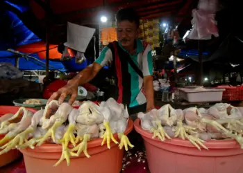 Foto Pedagang Daging Ayam di Pasar Anyar, Harga Naik Jelang Nataru