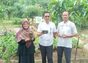 KWT Mina Tani Lestari Kec Cibodas Hasilkan Produk Lanjutan Serta Punya Fasilitas Barcode Tanaman