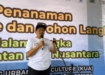 3.500 Mangrove dan Pohon Langka Ditanam di Desa Ketapang