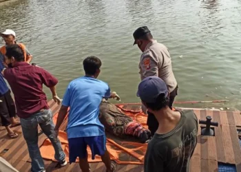 Wanita yang Mayatnya Ditemukan Mengambang di Cisadane Dibunuh 3 Orang, Pelaku Ambil Mobil Hingga Jam Mewah