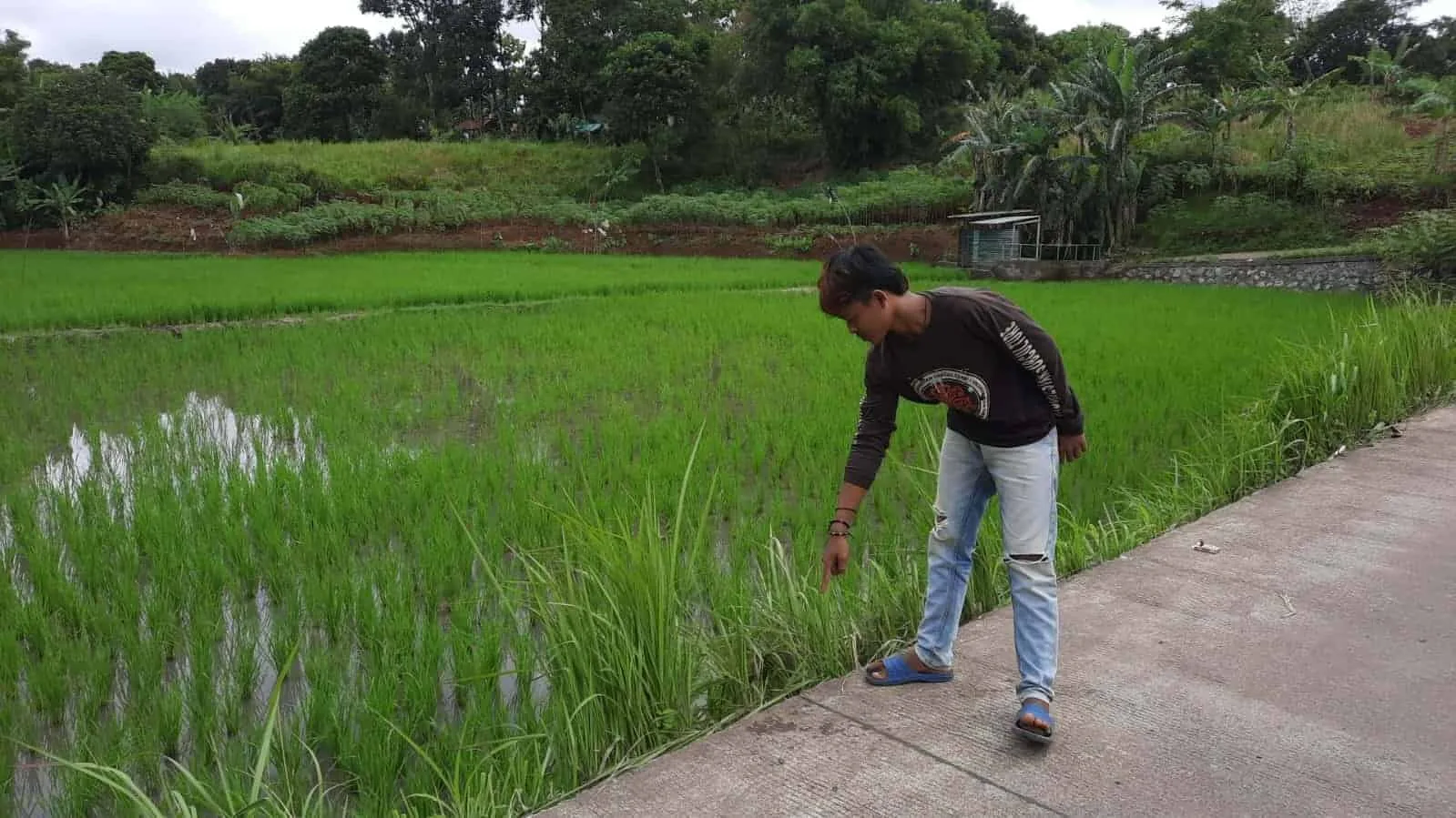 Tukang Ojek di Pagedangan Tewas Dibegal Penumpang