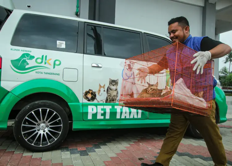 Foto Vaksinasi Rabies Hewan Peliharaan Gratis di Kota Tangerang