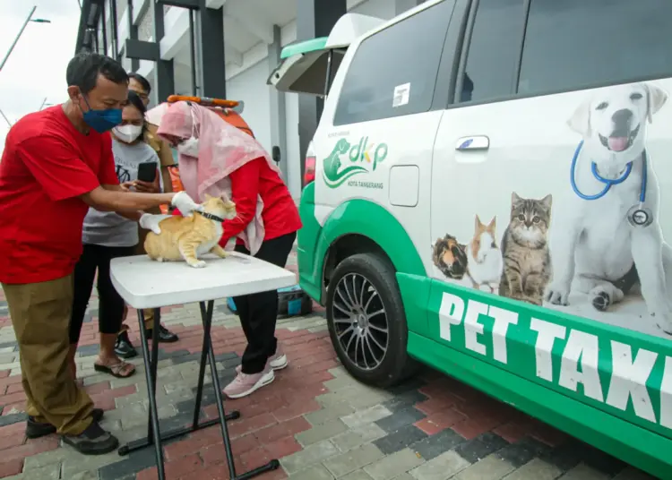 Foto Vaksinasi Rabies Hewan Peliharaan Gratis di Kota Tangerang