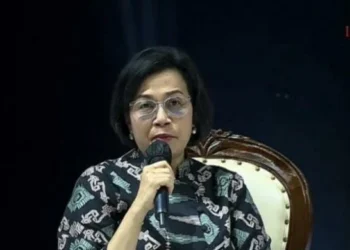 Pajak Daerah Tembus Rp 209 T, Sri Mulyani Happy