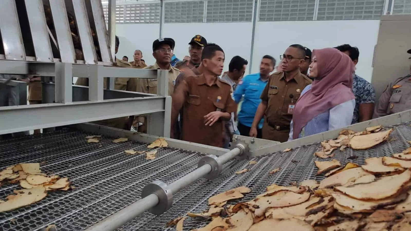 Bupati Pandeglang, Irna Narulita, bersama jajarannya sedang meninjau hasil pembangunan pabrik umbi porang di Kecamatan Panimbang, Kabupaten Pandeglang, Selasa (21/2/2023). (ISTIMEWA)