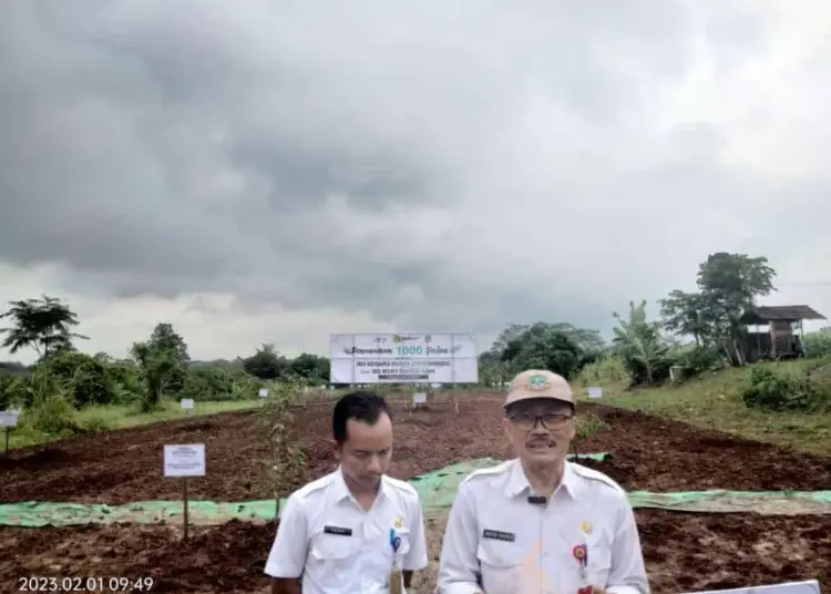 Kepala Distan Provinsi Banten, Agus M. Tauchid. (ISTIMEWA)