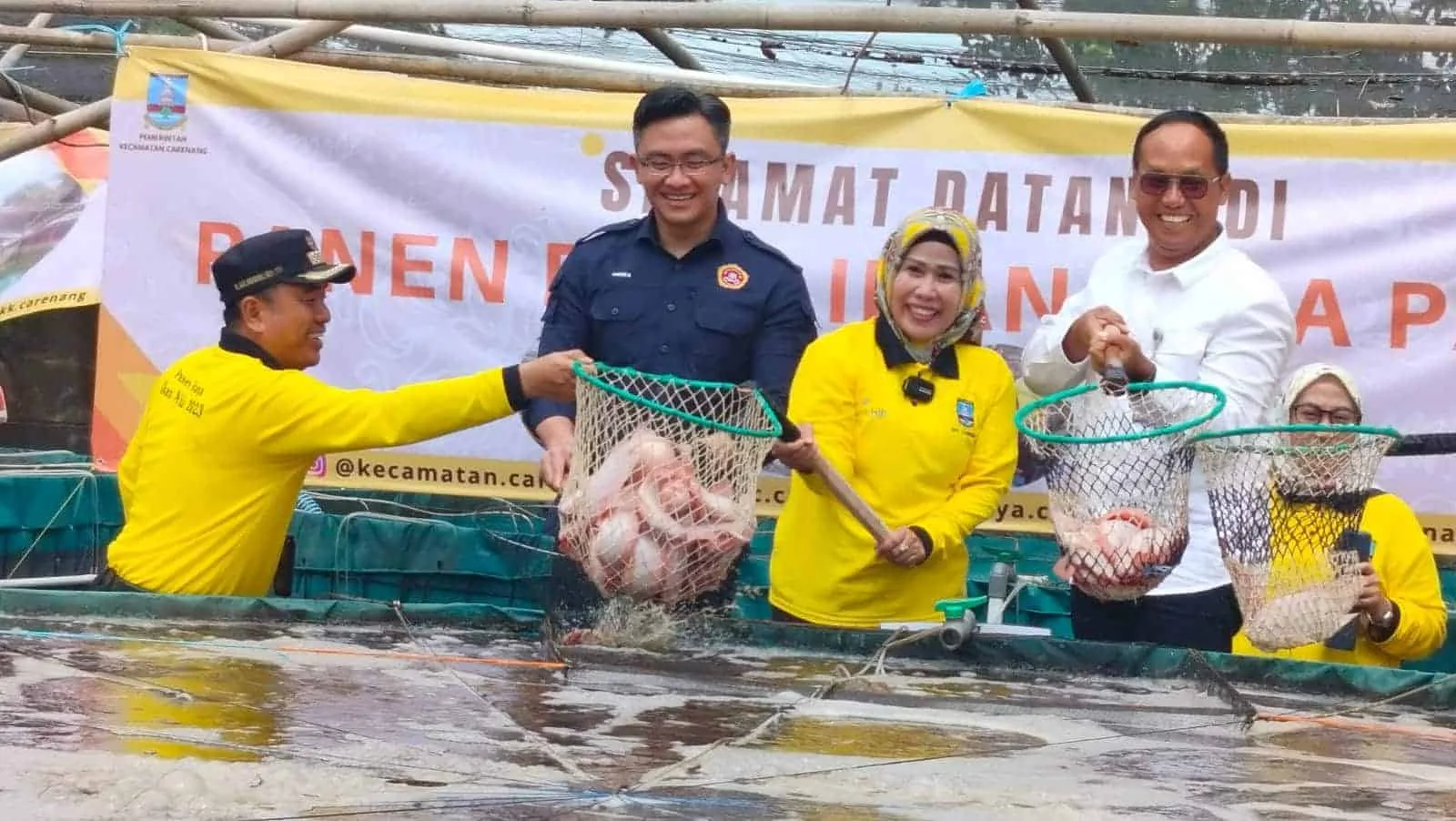 PANEN IKAN NILA - Bupati Serang Ratu Tatu Chasanah, memanen ikan Nila bioflok, di Kecamatan Carenang. (ISTIMEWA)