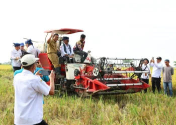 Subsidi Pupuk Tak Penuhi Kebutuhan