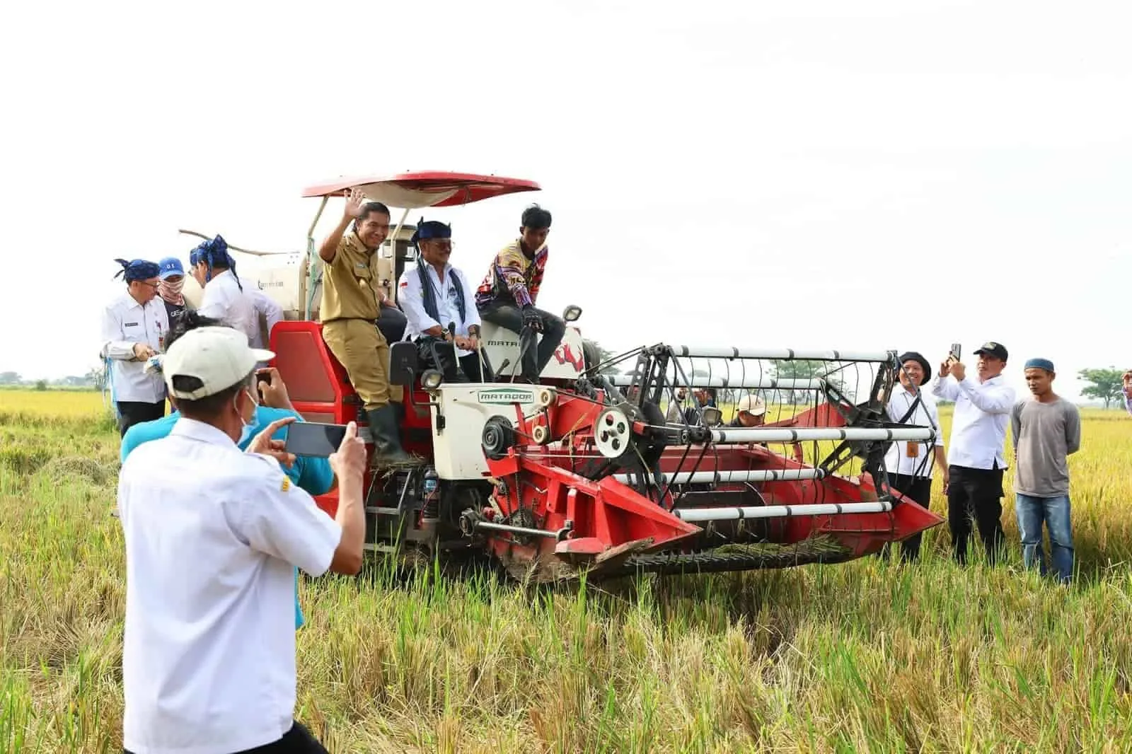 Subsidi Pupuk Tak Penuhi Kebutuhan