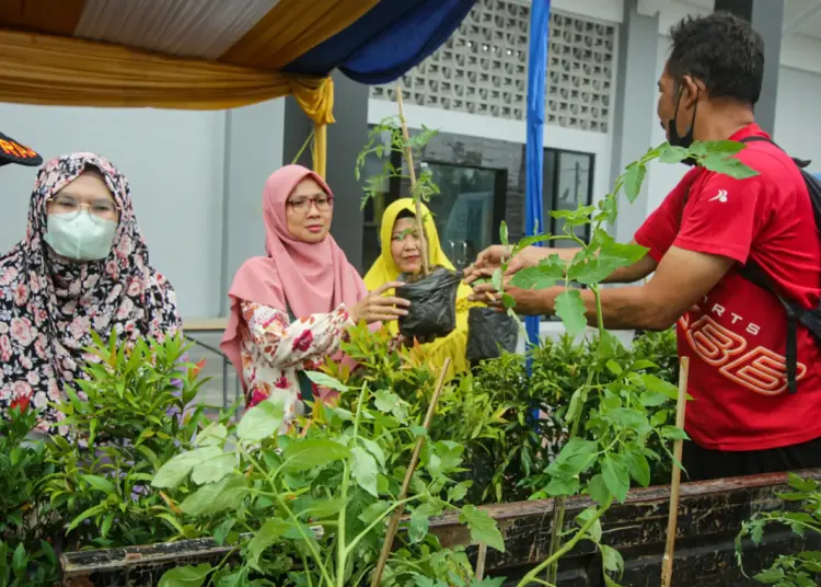 Foto Pembagian Bibit Tanaman Gratis di Cipondoh