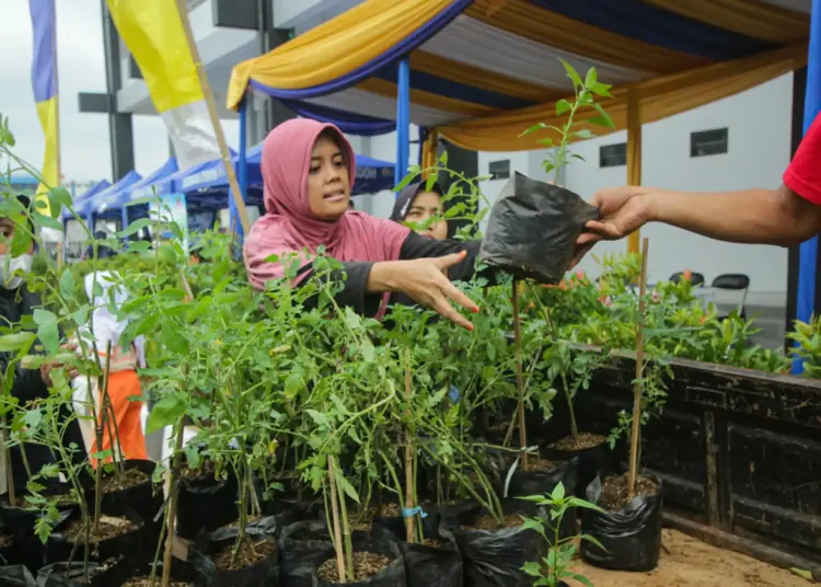 Foto Pembagian Bibit Tanaman Gratis di Cipondoh