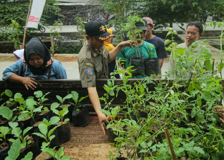 Foto Pembagian Bibit Tanaman Gratis di Cipondoh