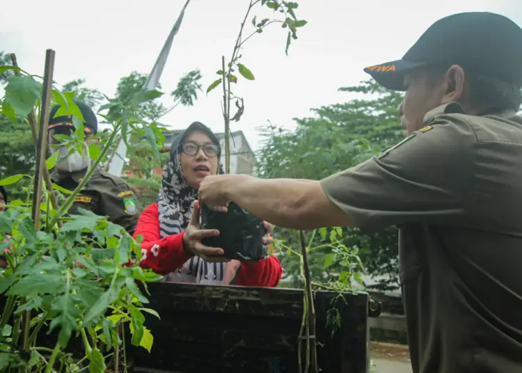 Foto Pembagian Bibit Tanaman Gratis di Cipondoh