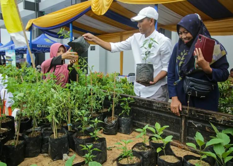 Foto Pembagian Bibit Tanaman Gratis di Cipondoh