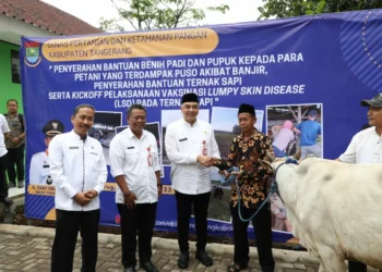 Lahannya Puso, 264 Petani di Kabupaten Tangerang Terima Bantuan Pupuk