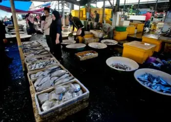 Dorong Masyarakat Lebak Gemar Konsumsi Ikan, Pasar Sampay Bakal Dijadikan Sentra Kuliner Ikan