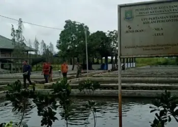 Sudah Ribuan Bibit Tanaman Hingga Benih Ikan Dibagikan DKP Kota Tangerang