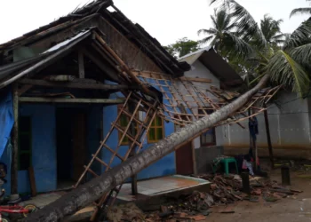 Kondisi rumah yang rusak tertimpa pohon kepala. (ISTIMEWA)