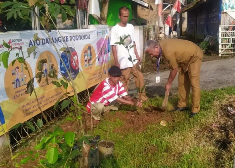 PENANAMAN BIBIT POHON: Kades Ancol Pasir Kecamatan Jambe, Apang saat menanam pohon di depan kantor desa secara simbolis menandai penanaman 100 bibit pohon buah serentak, Senin (20/3/2023). (ISTIMEWA)