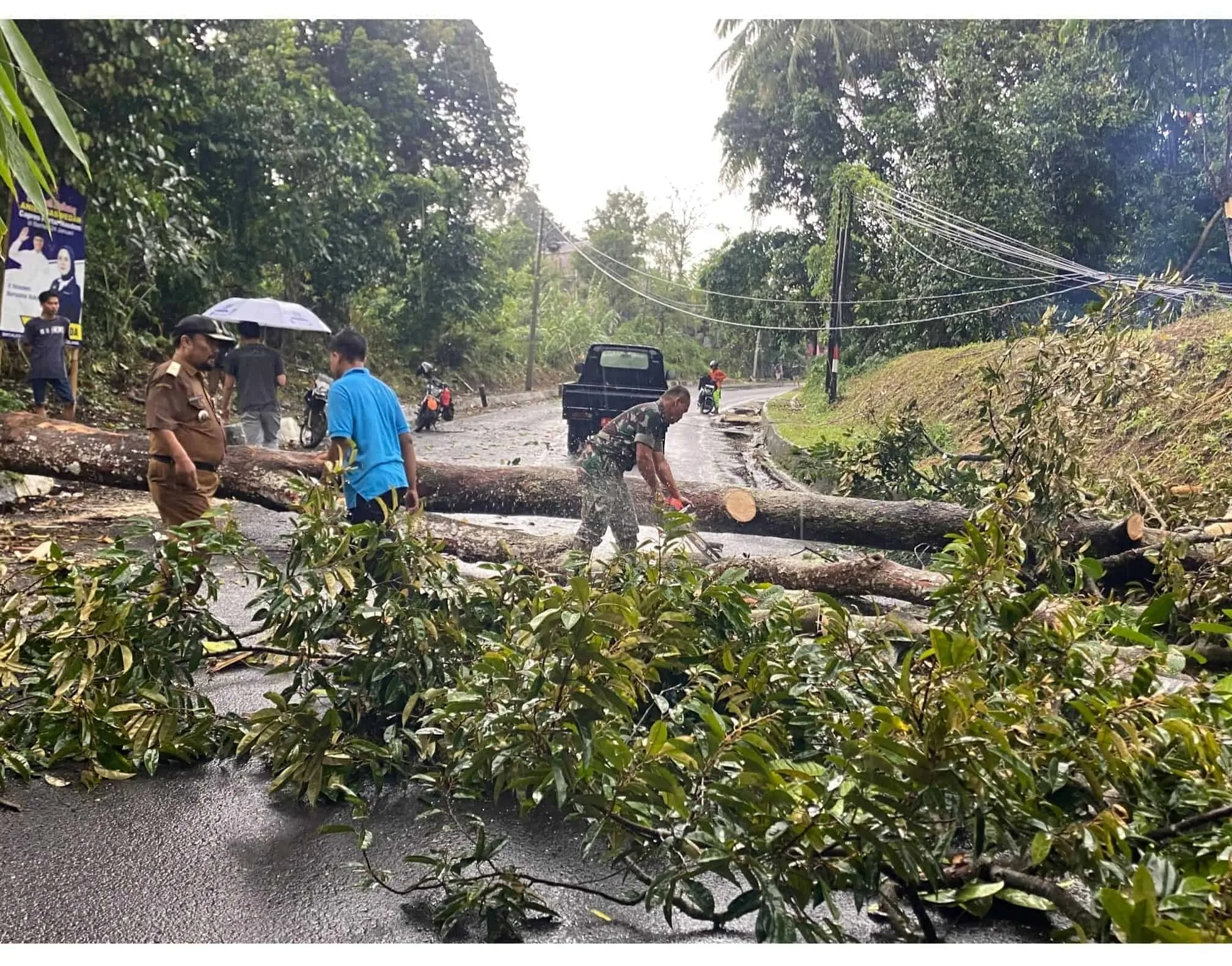 EVAKUASI - Pihak TNI, bersama Lurah dan warga, sedang mengevakuasi pohon tumbang yang membuat akses Jalur Pandeglang - Rangkas tak bisa dilalui, Senin (20/3/2023). (ISTIMEWA)