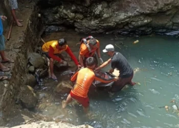 Tim SAR gabungan, sedang mengevakuasi korban yang terjatuh di Curug Putih, Cinoyong-Carita, yang berhasil ditemukan, Rabu (26/4/2023). (ISTIMEWA)