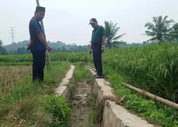 Pihak Desa menunjukkan kondisi irigasi aliran air, yang mengalami kerusakan di pesawahan Desa Karangsetra, Kecamatan Koroncong, Kabupaten Pandeglang. (ISTIMEWA)