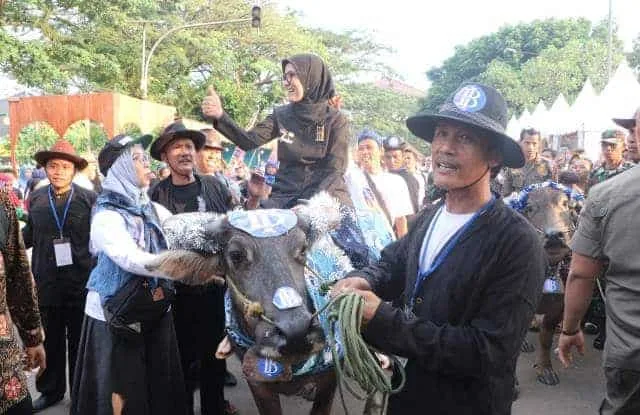 Festival Seni Multatuli Diharapkan Picu Pertumbuhan Ekonomi