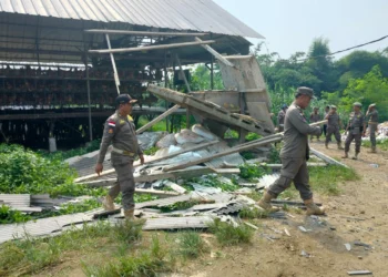 Peternakan Ayam berisi 50.000 ekor, dibongkar anggota Satpol PP Kabupaten Serang, Senin (12/6/2023). (ISTIMEWA)