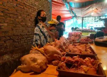 Pedagang daging ayam potong di Pasar Tradisional Kabupaten Serang, sedang menjajakan dagangannya. (ISTIMEWA)