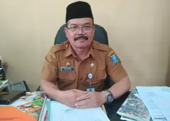 Haryadi, Kepala DPMD Kabupaten Serang. (ISTIMEWA)