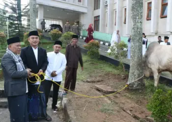 Wabup Tangerang Mad Romli, serahkan hewan kurban kepada pengurus DKM Masjid Agung Al Amjad, Tigaraksa, Kabupaten Tangerang, Kamis (29/6/2023). (ISTIMEWA)