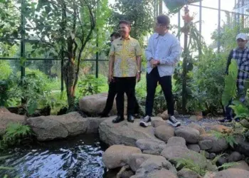 Kampung Kalpataru Cipondoh Kini Dilengkapi Fasilitas Glam Aviary, Dibangun Artis Ibu Kota