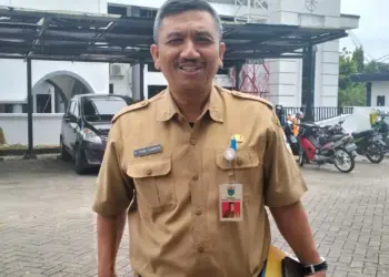 Inspektur Inspektorat Kabupaten Pandeglang, Ali Fahmi Sumanta. (ISTIMEWA)