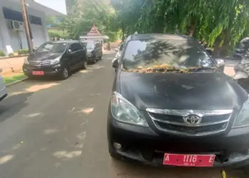 Kendaraan roda empat yang akan dilelang, terparkir di halaman kantor Bappeda Kabupaten Serang. (ISTIMEWA)