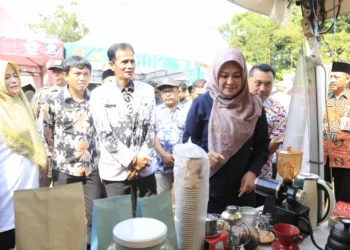 Bupati Pandeglang Irna Narulita, tinjau stand UMKM di acara Akarsari Culture Festival. (ISTIMEWA)