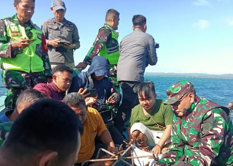 Transplantasi Terumbu Karang di Pulau Liwungan, Kabupaten Pandeglang, Jumat (7/7/2023). (ISTIMEWA)