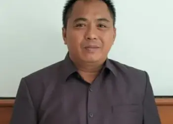 Sekretaris DPC PKB Kabupaten Pandeglang, Ade Muamar. (ISTIMEWA)