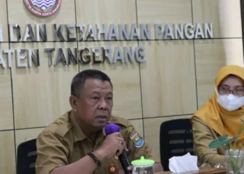 MEMBERIKAN KETERANGAN: Kepala Dinas Pertanian dan Ketahanan Pangan (DPKP) Kabupaten Tangerang, Asep Jatnika saat memberikan keterangan. (DOK/SATELITNEWS)