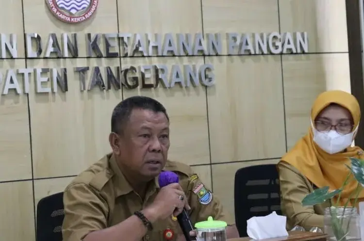 MEMBERIKAN KETERANGAN: Kepala Dinas Pertanian dan Ketahanan Pangan (DPKP) Kabupaten Tangerang, Asep Jatnika saat memberikan keterangan. (DOK/SATELITNEWS)