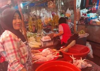 Harga Ayam dan Telur Tak Kunjung Turun, Pedagang di Tangerang Ketar-ketir