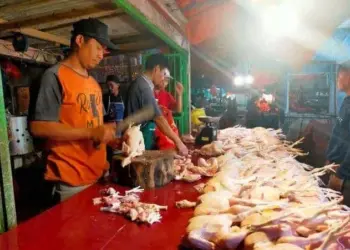 Harga Daging Ayam di Lebak Masih Tinggi, Pedagang dan Pembeli Mengeluh