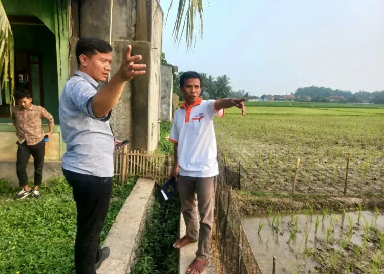 Sejumlah petani di Desa Panosogan, Kecamatan Cikeusal, Kabupaten Serang, meninjau kondisi saluran air di ladang miliknya. (ISTIMEWA)