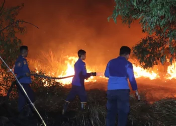 Kasus kebakaran di Kabupaten Serang. (ISTIMEWA)