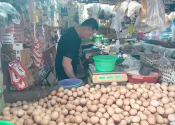 Harga Telur Masih Tinggi, Omzet Pedagang di Pasar Bengkok Tangerang Anjlok