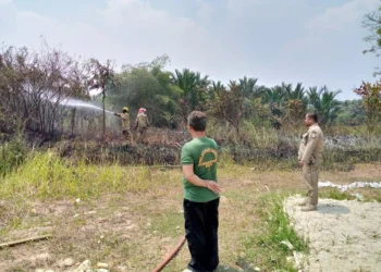 Kebakaran Ilalang Terjadi di Perumahan Triraksa Vilage 2